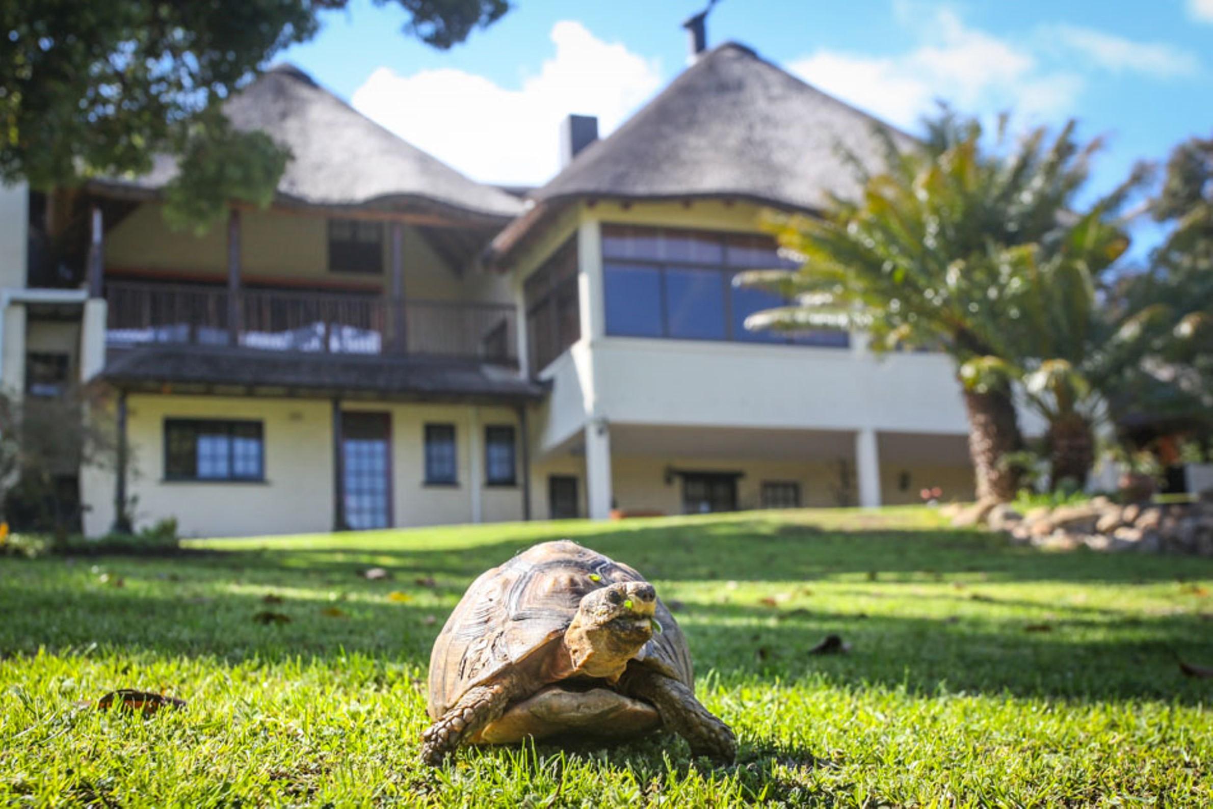 Winelands Villa Pensión y Cottages Somerset West Exterior foto